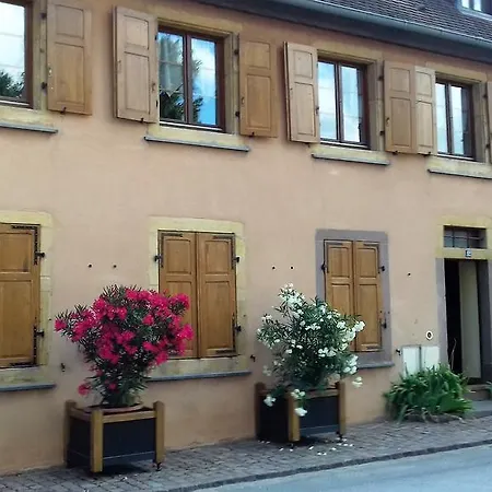 Notre Dame Apartman Rouffach